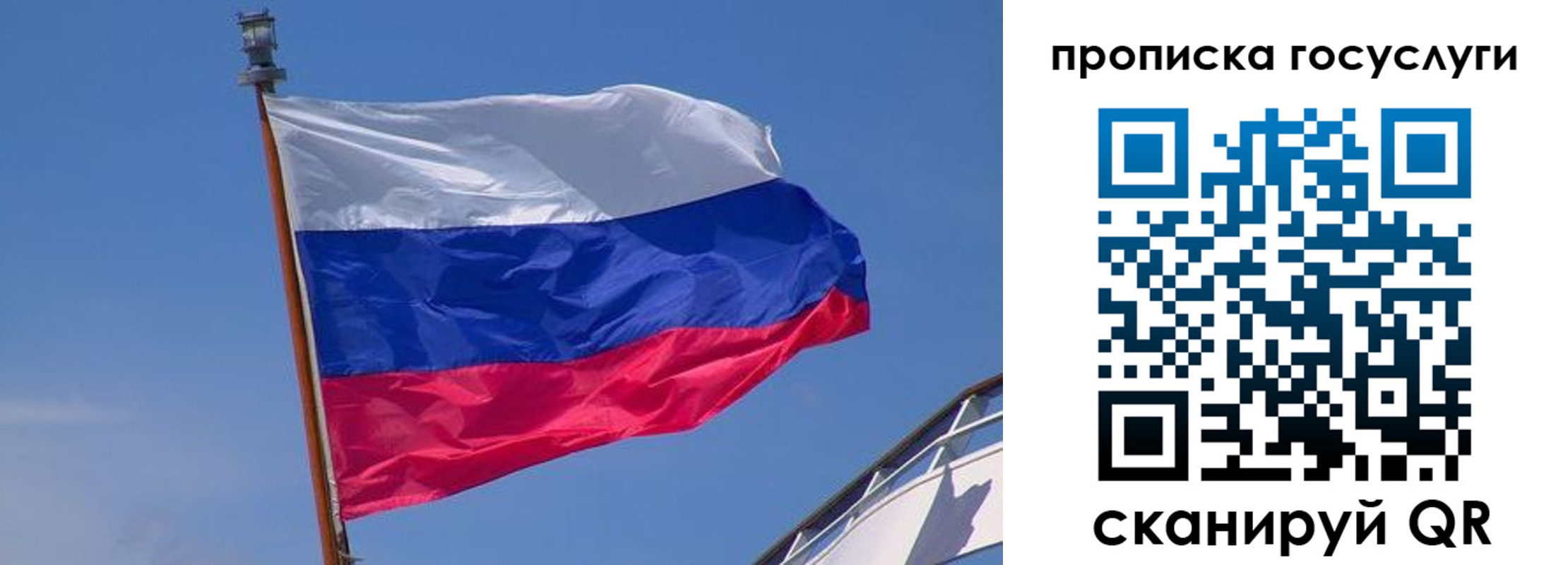 регистрация в Светлогорске